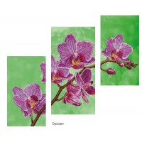 Триптих "Орхидея" 2