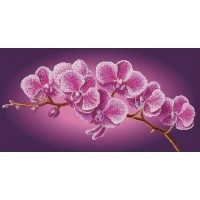 Схема или набор для вышивки бисером "Ветка орхидеи"