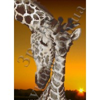 Схема или набор для вышивки бисером "Жирафы"