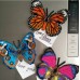 Набор магнит- бабочка для вышивки стразами «Алый павлин (ANARTIA AMATHEA)»